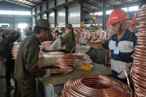Đã có 11 doanh nghiệp chính thức hoạt động trong KCN Long Giang