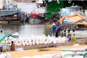 Thúc đẩy sản xuất, tiêu thụ nông sản ở Đồng bằng sông Cửu Long
